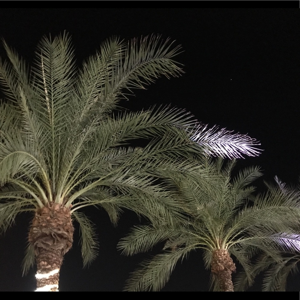 Meet your Posher, Melissa